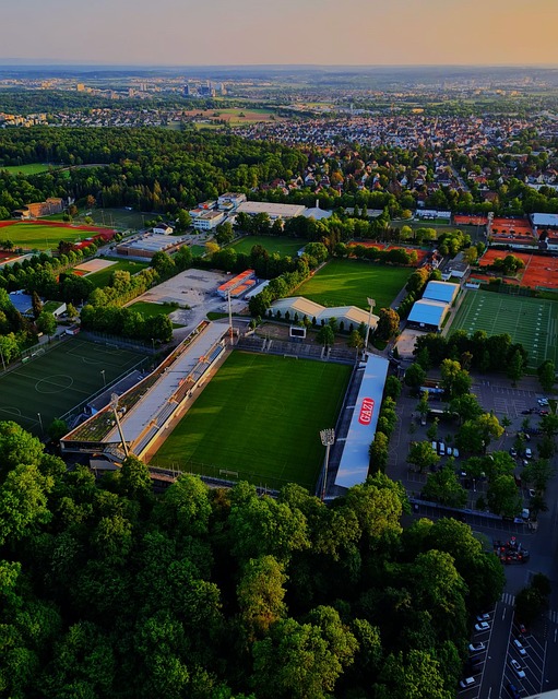 是引導還是 是引導還是