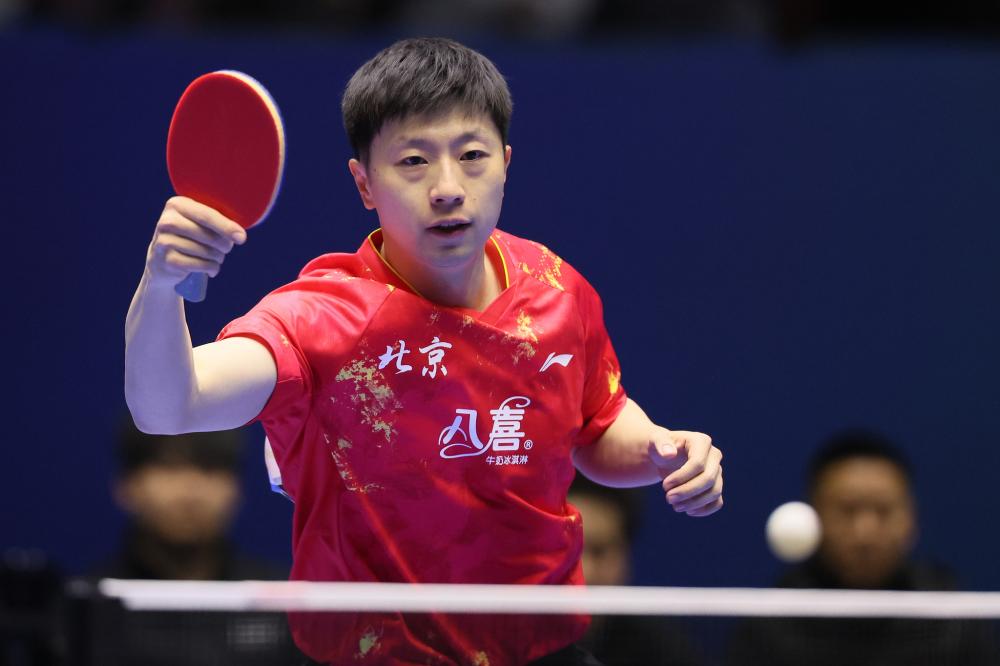 的教練類型 的教練類型