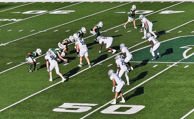 迅速启动了 迅速启动了