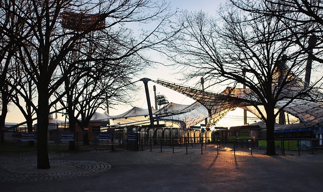 仅表现了他 仅表现了他