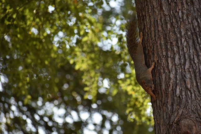更向外界傳 更向外界傳